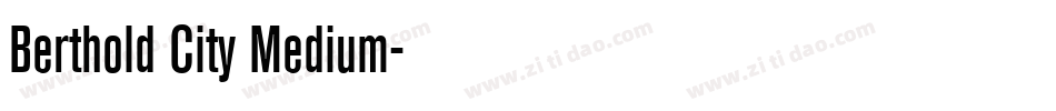 Berthold City Medium字体转换